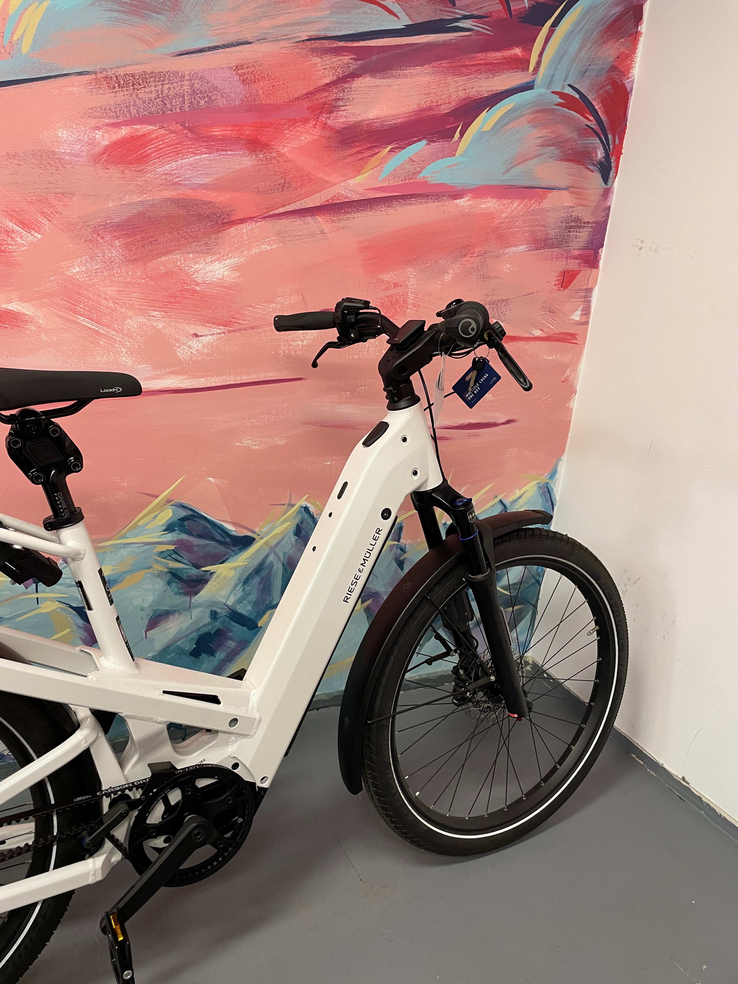 Riese & Muller -  Homage4 GT Vario