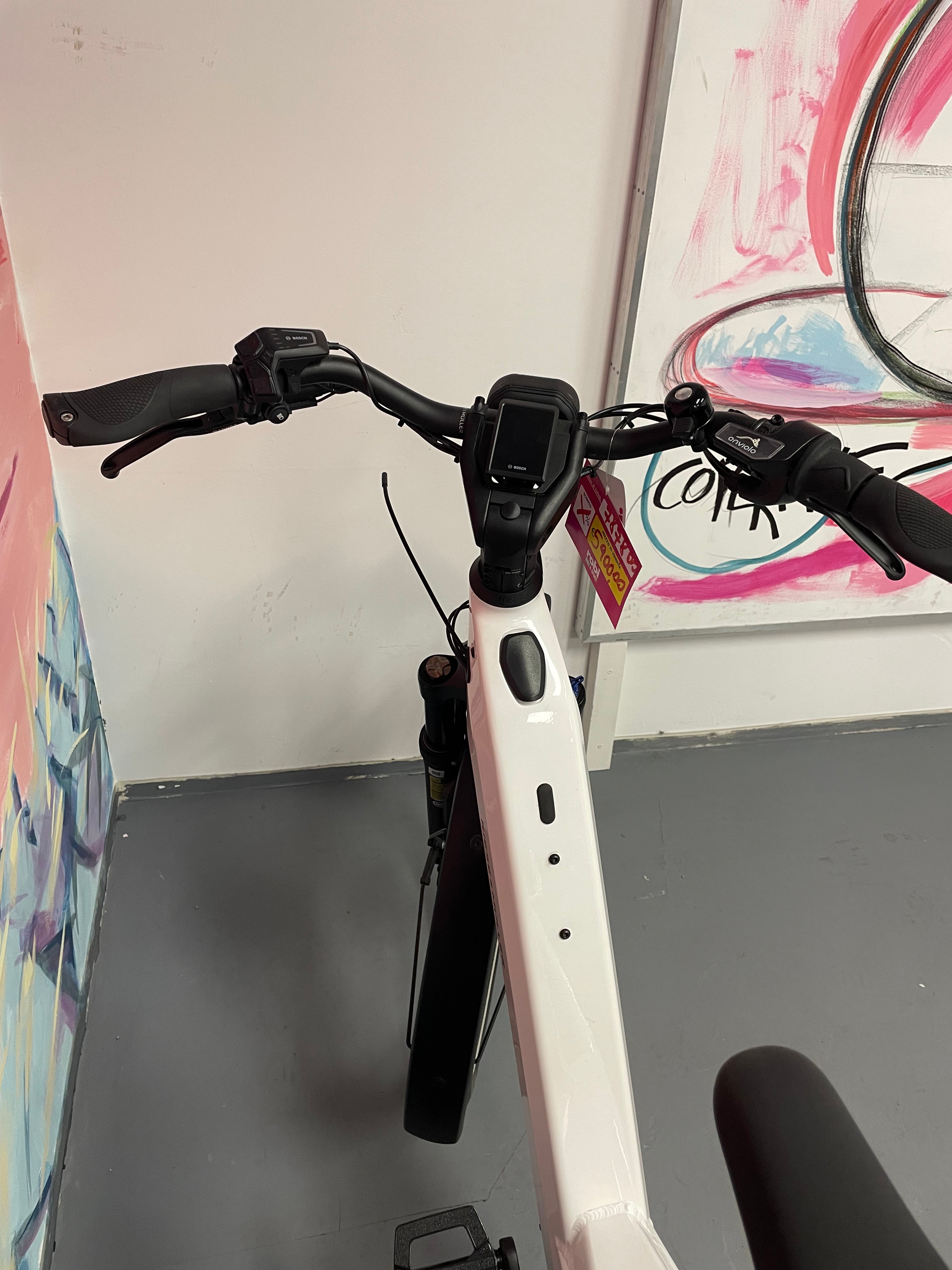 Riese & Muller -  Homage4 GT Vario